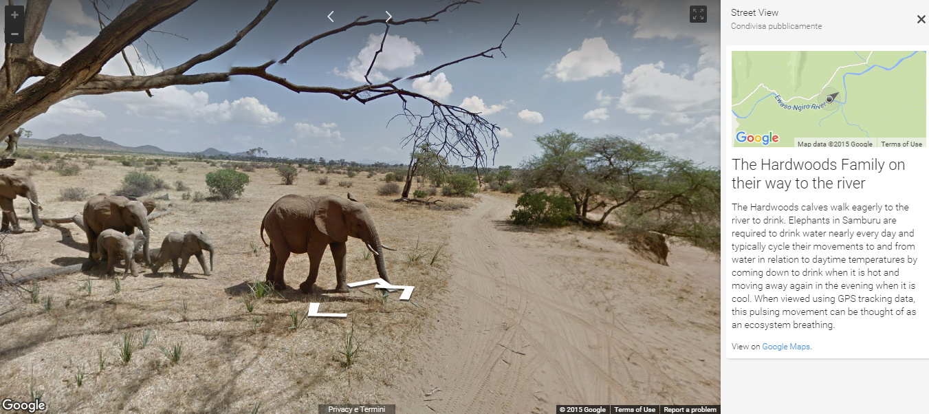 samburu google streetview elephants
